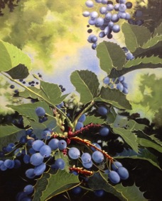Oregon Grapes
oil on canvas
18 x 24 SOLD 🔴